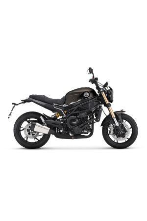 BENELLI LEONCINO 800
