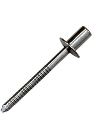 Akrapovic Rivet P-BR4 SS D4,8X12