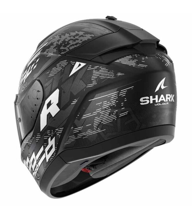 Shark Ridill 2 Molokai