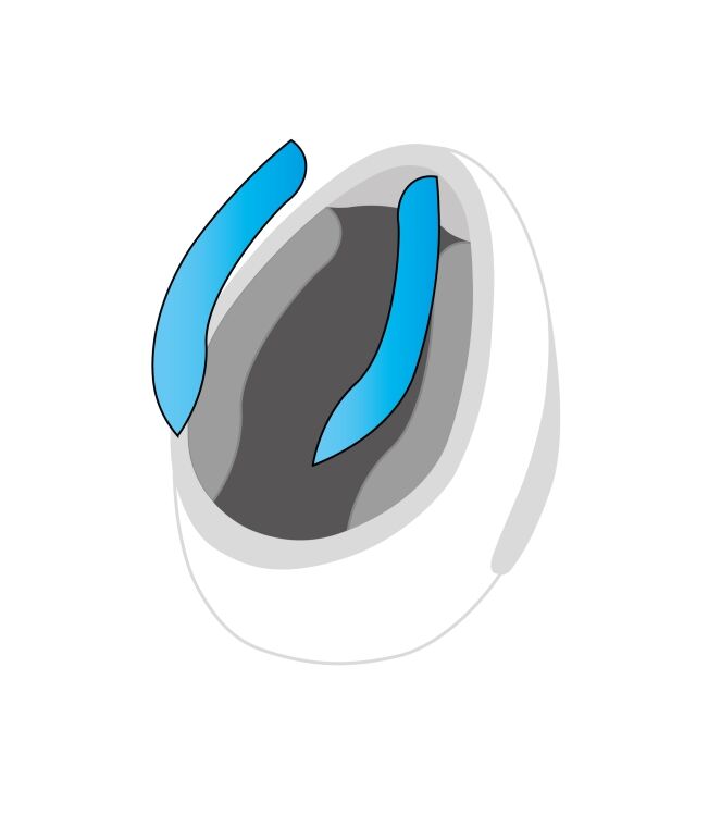 Wangkussens HJC, F71, L-XXL 30mm